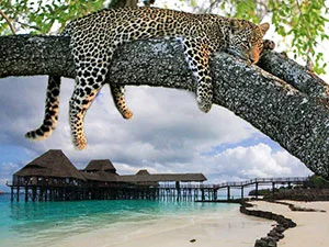Last Minute Safari e Mare Zanzibar