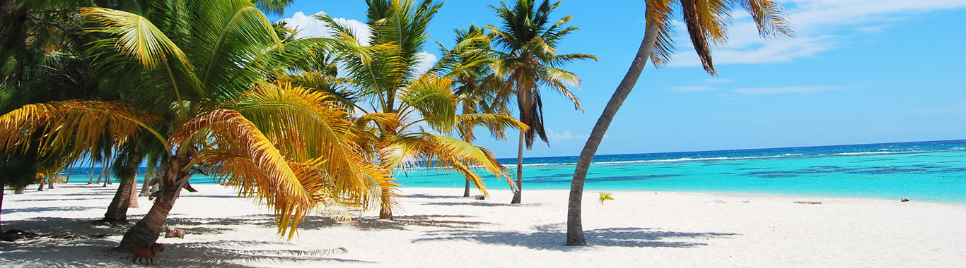 Viaggi e vacanze Tutta la destinazione